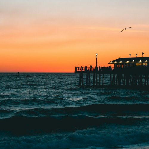 Sunset over the ocean with a wooden pier and people gathered at the end; a seagull soars above as waves roll in.