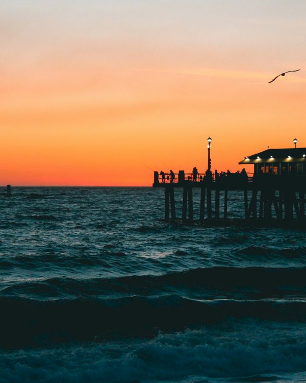Sunset over the ocean with a wooden pier and people gathered at the end; a seagull soars above as waves roll in.